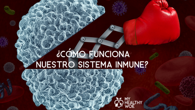 ¿Cómo funciona nuestro sistema inmune?